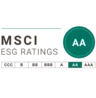 MSCI AA